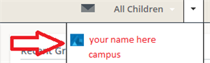 select user name 